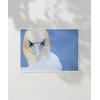 Deniz Kuşu Poster