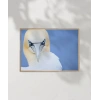 Deniz Kuşu Poster