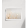 Doğanın İnceliği Poster