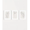 eyaz Çerçeveli Minimal Çizgi Sanatı 3lü Poster