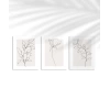 eyaz Çerçeveli Minimal Çizgi Sanatı 3lü Poster