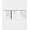 eyaz Çerçeveli Minimal Çizgi Sanatı 3lü Poster