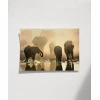 Fil Ailesi Gün Batımı Poster