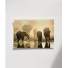 Fil Ailesi Gün Batımı Poster