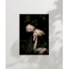 Flamingo Çifti Poster