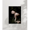 Flamingo Çifti Poster