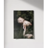 Flamingo Çifti Poster