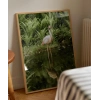 Gölette Turna Kuşu Poster