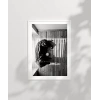 Gölge Oyunları Poster
