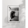 Gölge Oyunları Poster