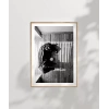 Gölge Oyunları Poster