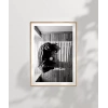 Gölge Oyunları Poster