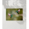 Hummingbird Savaşları Poster