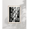 Işık ve Gölgenin Dans Poster