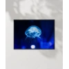 Işıkta Yüzen Meduza Poster