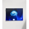 Işıkta Yüzen Meduza Poster