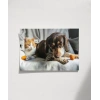 Kedi ve Köpek Dostluğu Poster