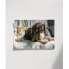Kedi ve Köpek Dostluğu Poster