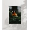 Kelebek ve Çiçek Poster