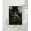 Kelebek ve Çiçek Poster
