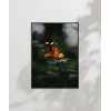 Kelebek ve Çiçek Poster