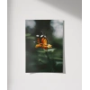 Kelebek ve Çiçek Poster