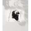 Kimono ve Saçın Sanatı Poster