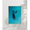 Mavi Denizde Yüzen Balinalar Poster