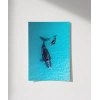 Mavi Denizde Yüzen Balinalar Poster