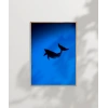 Mavi Denizde Yüzen Yunuslar Poster