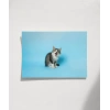 Mavi Fon Üzerinde Gri Kedi Poster