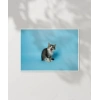 Mavi Fon Üzerinde Gri Kedi Poster