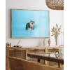 Mavi Fon Üzerinde Gri Kedi Poster