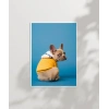 Mavi Fondaki Sarı Ceketli Köpek Poster