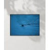 Mavi Suda Yüzen Su Samuru Poster