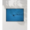 Mavi Suda Yüzen Su Samuru Poster