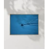 Mavi Suda Yüzen Su Samuru Poster