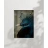 Mavi Tüylü Egzotik Kuş Poster