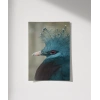 Mavi Tüylü Egzotik Kuş Poster