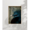Mavi Tüylü Egzotik Kuş Poster