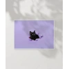 Mor Fon Üzerinde Siyah Kedi Poster