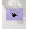 Mor Fon Üzerinde Siyah Kedi Poster