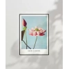 Ogawa Kazumasa Lotus Poster