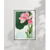 Ohara Koson Çiçek Açan Lotus Çiçekleri 2 Poster
