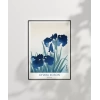 Ohara Koson Süsen Çiçekleri 2 Poster