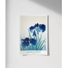 Ohara Koson Süsen Çiçekleri 2 Poster