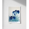 Ohara Koson Süsen Çiçekleri 2 Poster