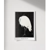 Ohara Koson Yağmurda Ak Balıkçıl Poster