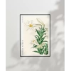 Ohara Koson Zambaklar Poster