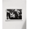 Ördekler Arasında Poster